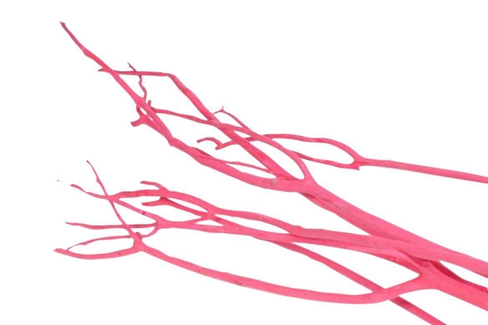 <h4>Mitsumata Flaked Pink 3pc Bunch</h4>