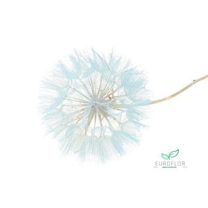 DANDELION 1PC D12 35CM LIGHT BLUE