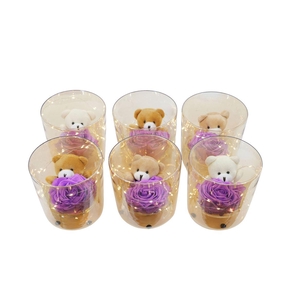 Arrangementen Potroos H%