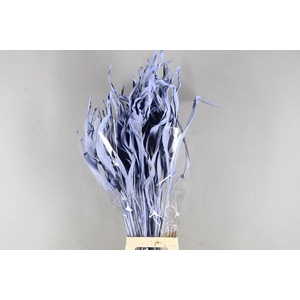 Df Strelitzia Leaf Light Blue