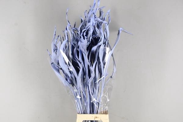 <h4>Df Strelitzia Leaf Light Blue</h4>