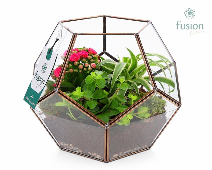 <h4>Geometrisch planter Large met arrangement</h4>