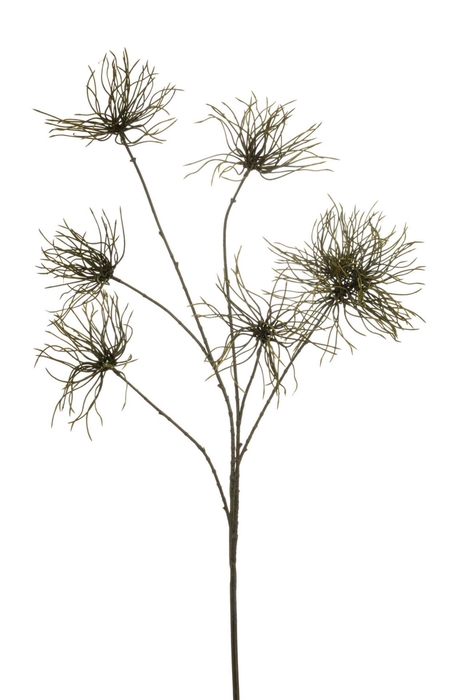 <h4>Anemone seed spray green 110cm</h4>