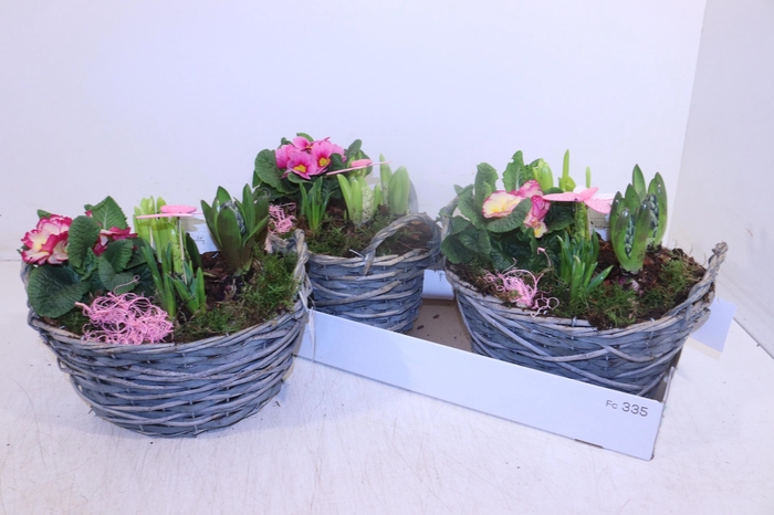 <h4>ARR TUINPLANTEN</h4>