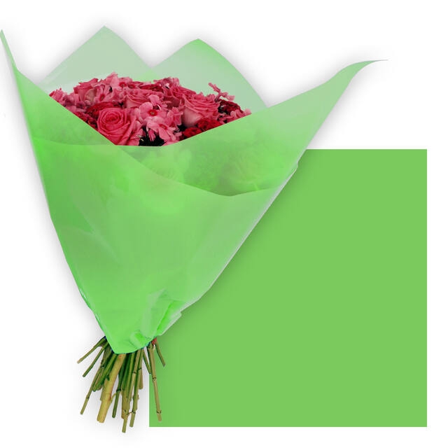 <h4>Vellen 80x80cm OPP50 Frost groen</h4>
