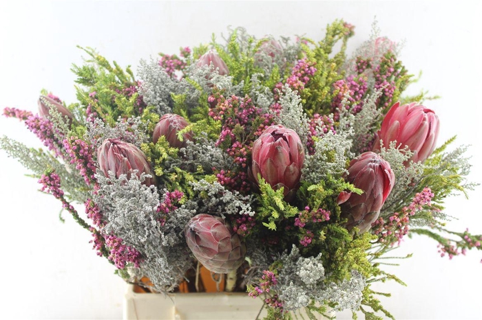 <h4>Protea Boeket</h4>