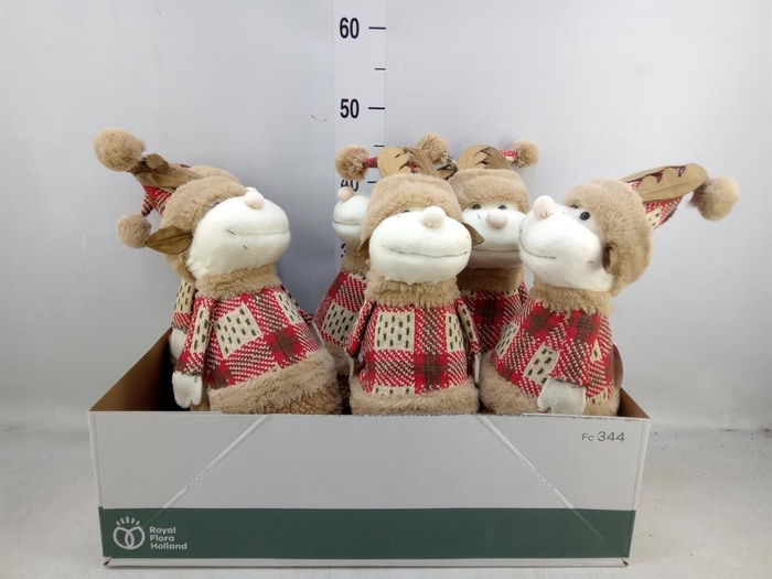 <h4>Decoratie  ..Rendier H%</h4>