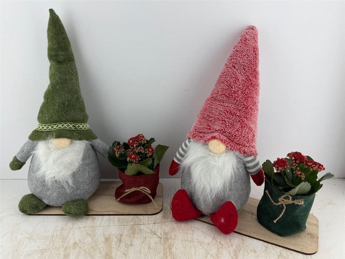 <h4>Arr (18) Kerstman Xl</h4>