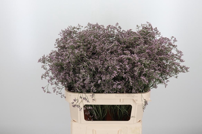 <h4>Lim Saf Oshi Pink 80 40</h4>