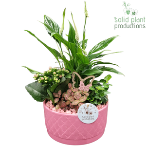 SP003 Loes Pink
