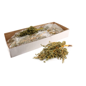 Dadels Lago X 1 Kilo
