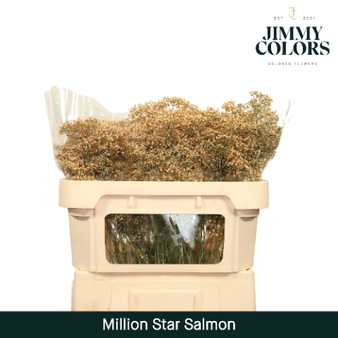 <h4>Gyps Million Star L70 Salmon</h4>