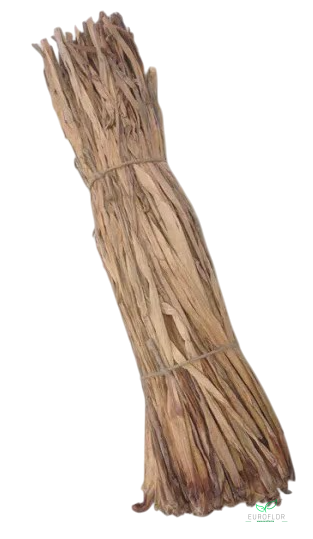 WATERHYACINT WORTELS