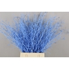 Betula Bs Paint Light Blue