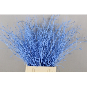 Betula Bs Paint Light Blue