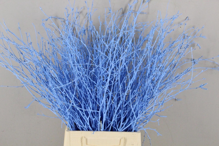 <h4>Betula Bs Paint Light Blue</h4>
