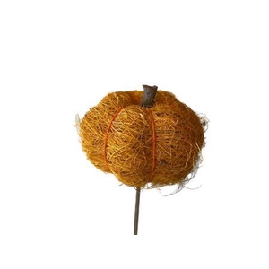 Stem Pumpkin L50w7h6d7 Yellow