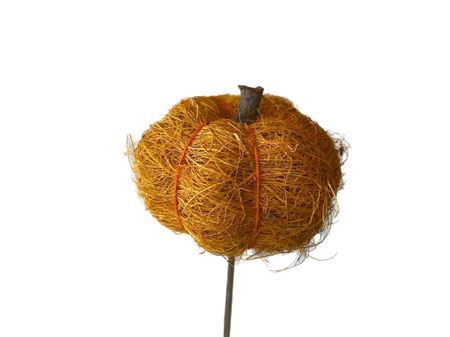 <h4>Stem Pumpkin L50w7h6d7 Yellow</h4>