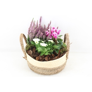 arr4 Outdoor PL - Mand brown white