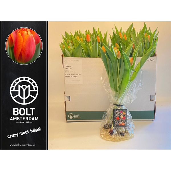 <h4>Time Out - Tulips with bulbs - Large bouquet - 10 Tulips</h4>