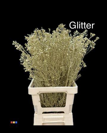 <h4>Waxflower Gold + Glit Bio</h4>
