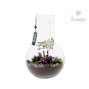 Green Bottle Suzanne Large met Moederdag arrangement