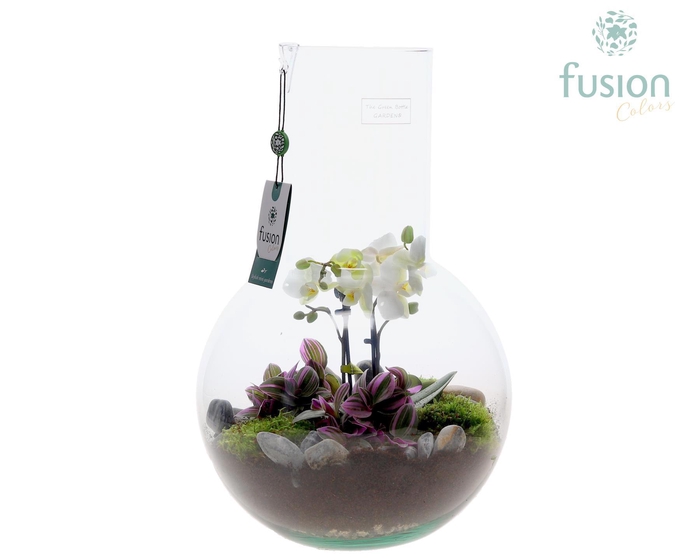 <h4>Green Bottle Suzanne Large met Moederdag arrangement</h4>