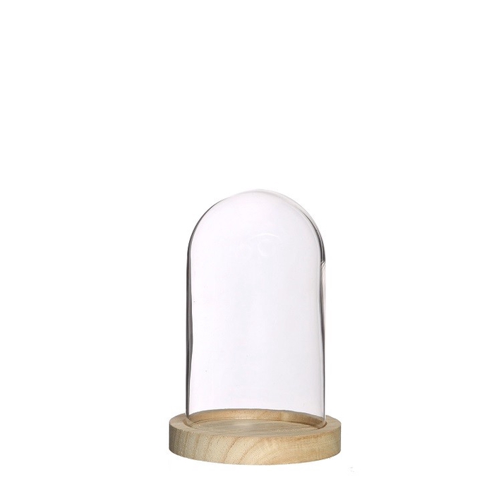 <h4>Glass Cloche+wood d10*15cm</h4>