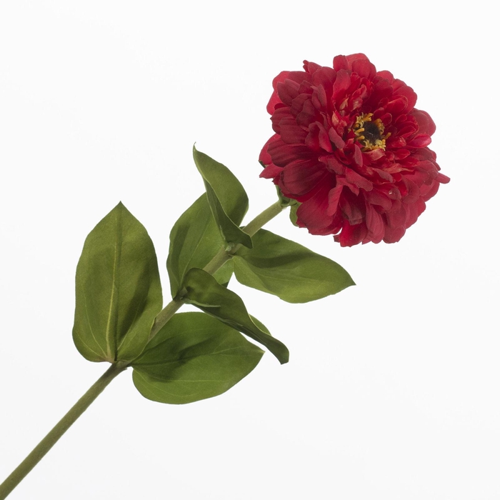 <h4>Zinnia Red FL440374RED</h4>