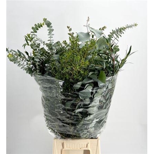 Eucalyptus per bos gemengd