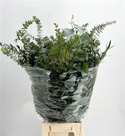 <h4>Eucalyptus per bos gemengd</h4>