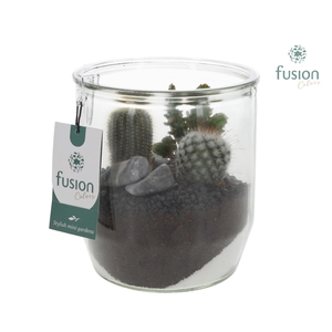 Glazen pot Dirk met Cactusen
