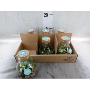 Arr.   Planten L%