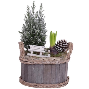 Winter Arr. Outdoor Willow Pot Oval Waterhyacint Rim Ø22cm 2PP