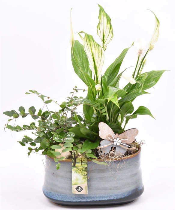 <h4>Keramiek ovaal blauw/grijs 19x12cm</h4>