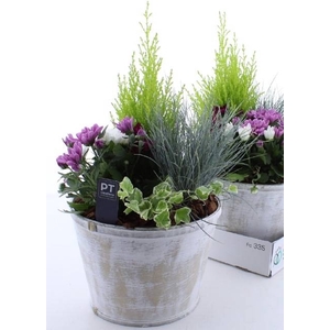 ARR TUINPLANTEN