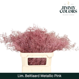 Lim Bel L90 Metallic pink
