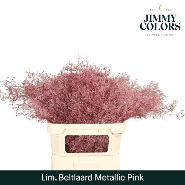 <h4>Lim Bel L90 Metallic pink</h4>