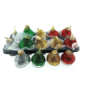 BLOEMBOL HIPPEASTRUM