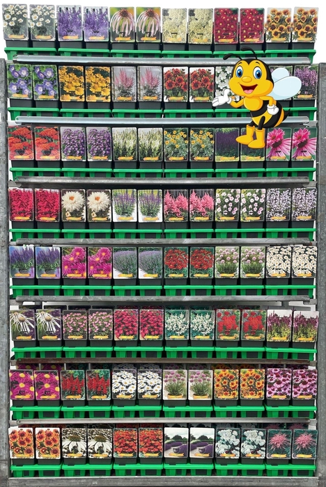 <h4>Vaste planten mixkar</h4>