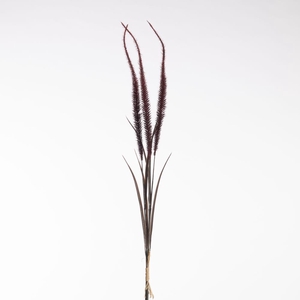 AF Pennisetum Bnd x3 L71cm Red
