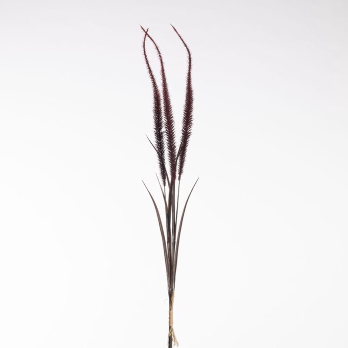 <h4>AF Pennisetum Bnd x3 L71cm Red</h4>