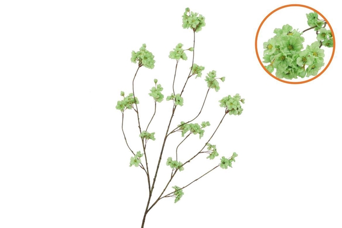 Silk Cherry Blossom Green 126cm Nm
