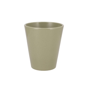 Ceramic Kiwi Stone Pot Orchid 15cm