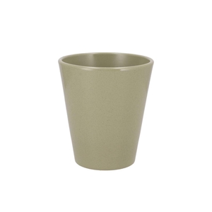 Ceramic Kiwi Stone Pot Orchid 15cm