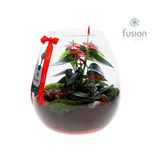 Green Bottle Abby XLarge Love met arrangement