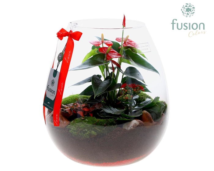 <h4>Green Bottle Abby XLarge Love met arrangement</h4>