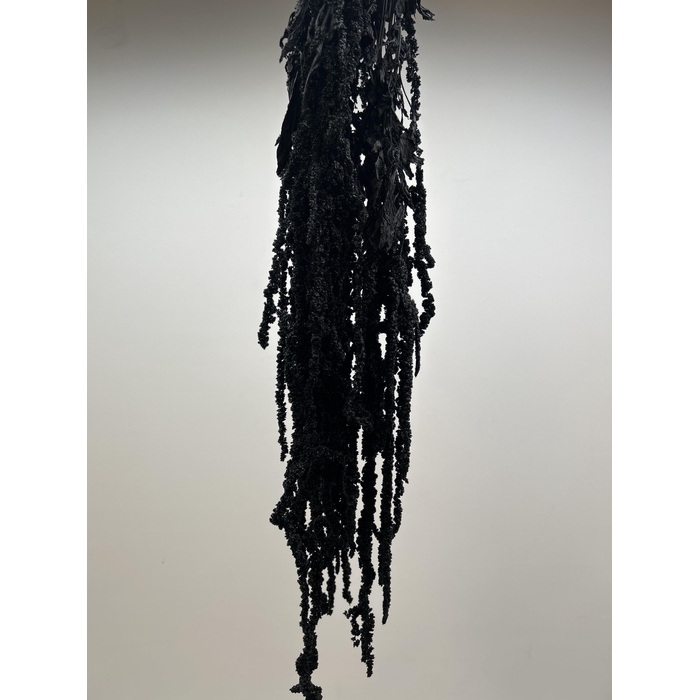 <h4>GESTABILISEERD AMARANTHUS (H) ZWART</h4>