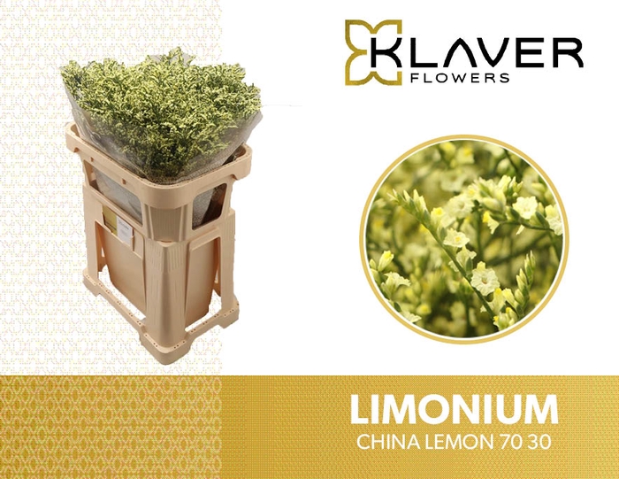 <h4>LIM SIN CHINA LEMON 70 30</h4>