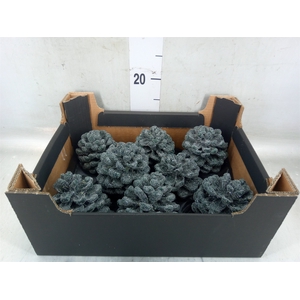 Decoratieve materialen   ...H%